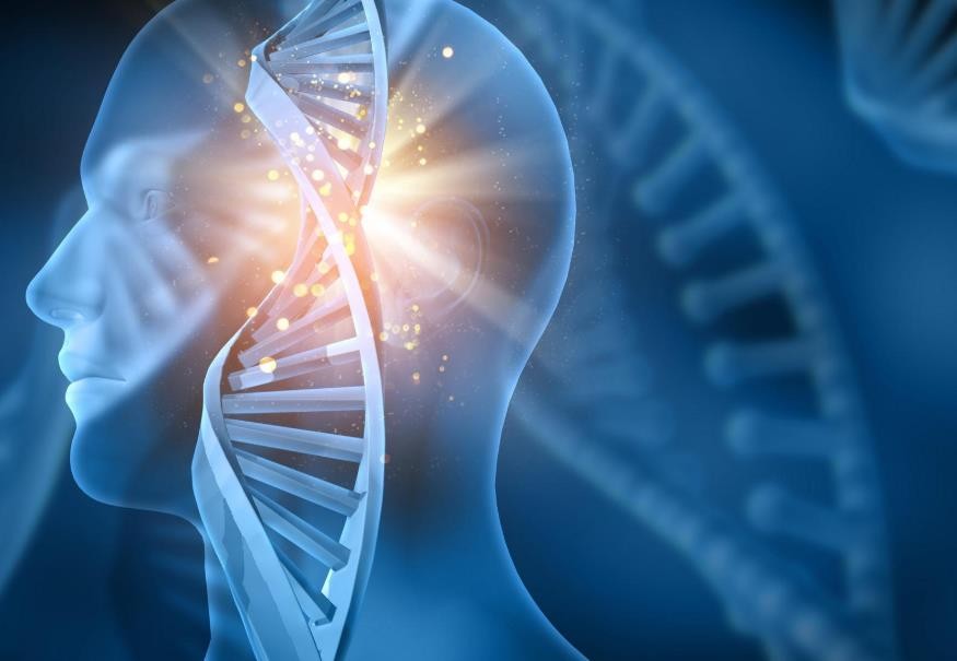 臨床醫(yī)學(xué)十大名校有哪些